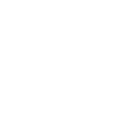 12/10  UNE VISION D'EXPERT